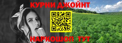 крисы Коммунар