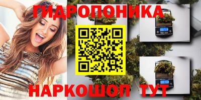 крисы Коммунар