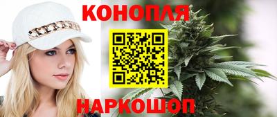 крисы Коммунар