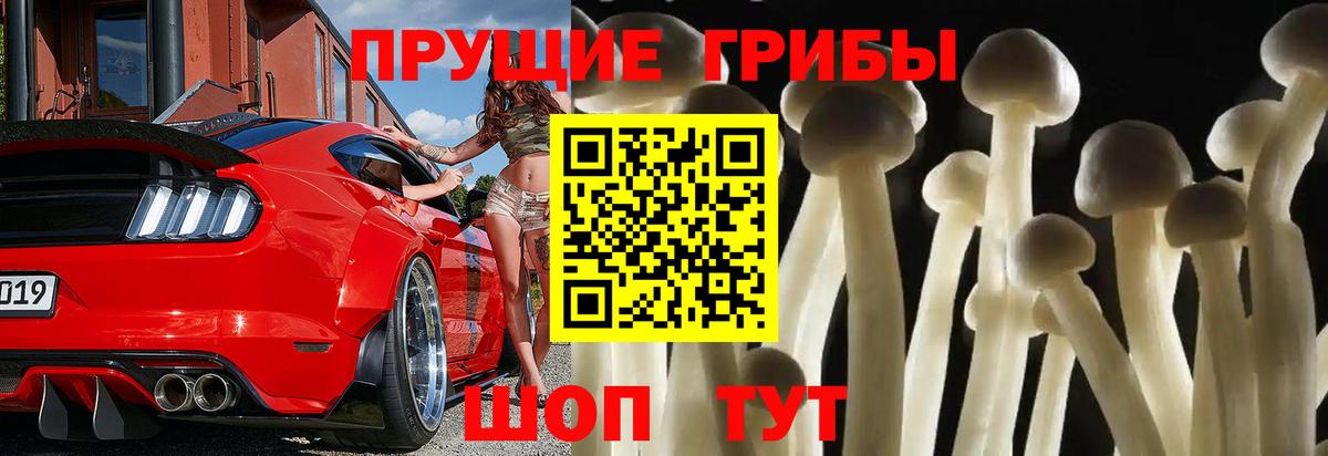Псилоцибиновые грибы GOLDEN TEACHER Казань